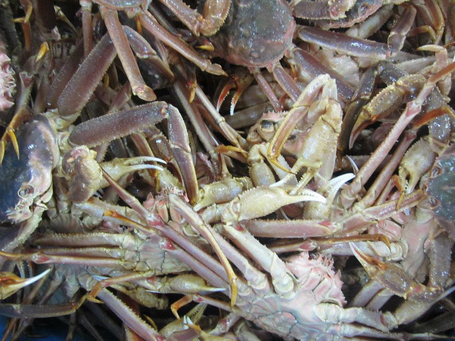 Kodiak Island Tanner Crab Bunch