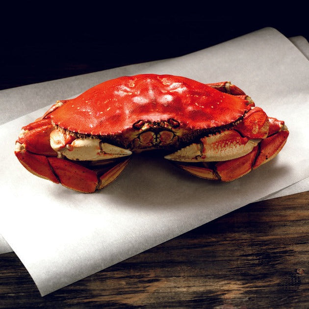 Whole Dungeness Crab 2+ lbs.