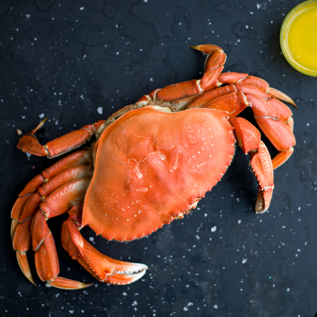 Dungeness Crab Clusters