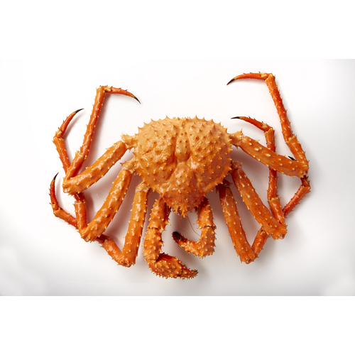 Golden King Crab - Pacific Cloud Seafoods