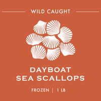 Day-boat Sea Scallops - Pacific Cloud Seafoods