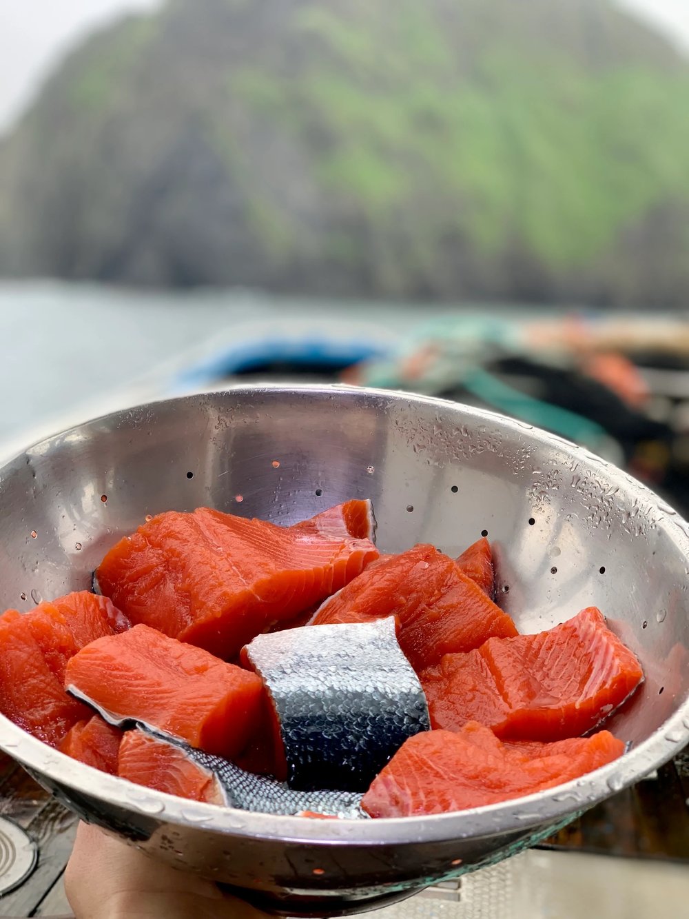 Kodiak Island Sockeye Salmon
